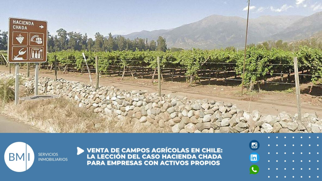 Venta de campos agrícolas en Chile: la lección del caso Hacienda Chada para empresas con activos propios